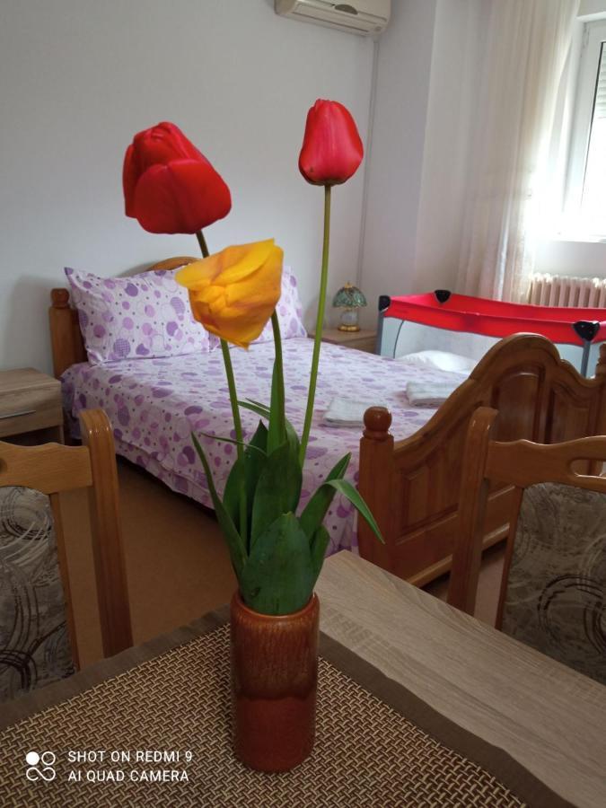 Apartman Andelina Врнячка-Баня Екстер'єр фото