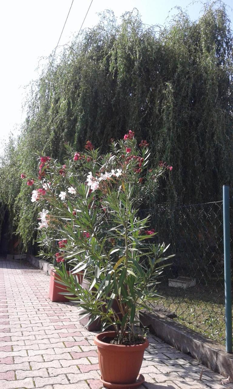 Apartman Andelina Врнячка-Баня Екстер'єр фото